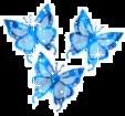 MARIPOSAS AZULES