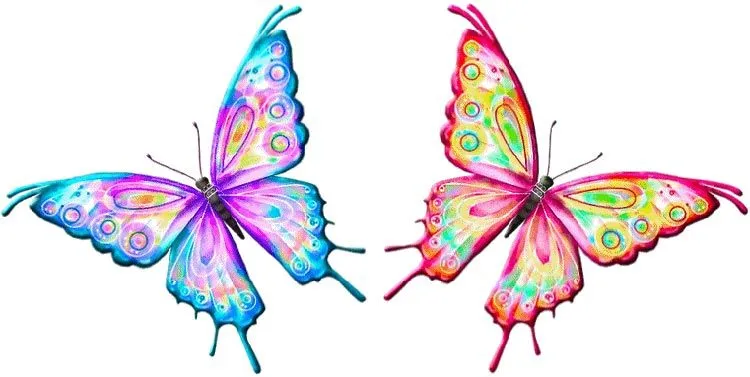 MARIPOSAS