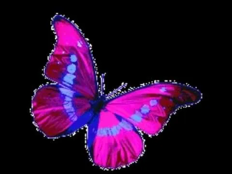 Las mariposas mas bonitas - YouTube