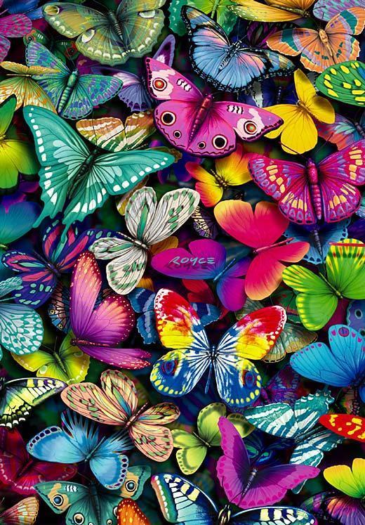 Mariposas de colores vivos - Imagui