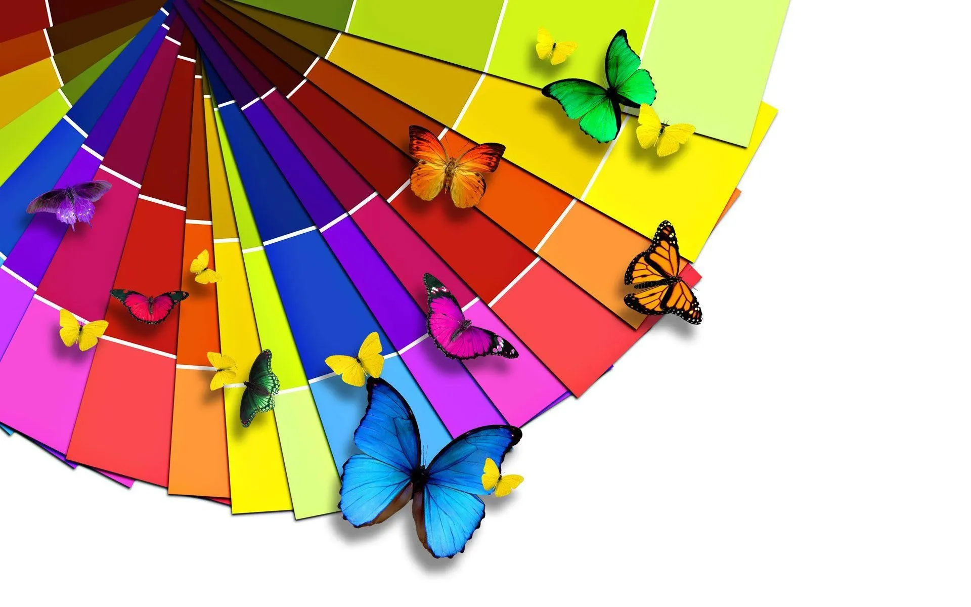 Mariposas de Colores. - Wallpapers