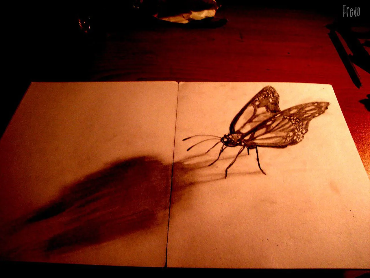 Images For > Mariposas Para Dibujar A Lapiz