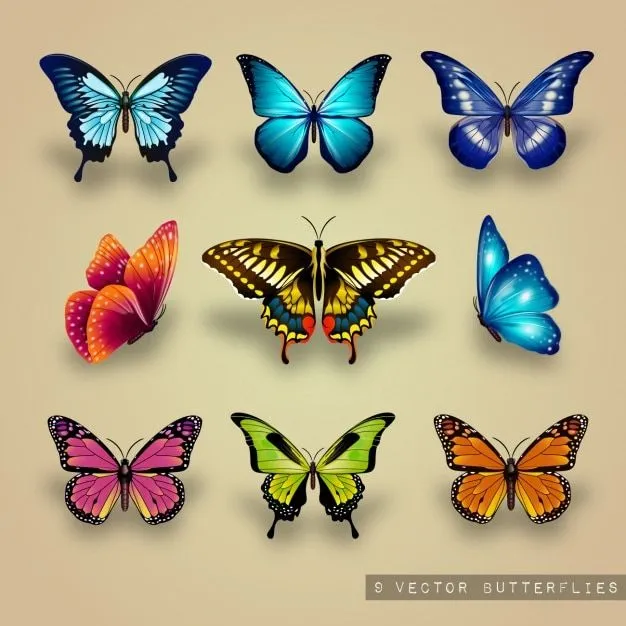 Mariposas | Fotos y Vectores gratis