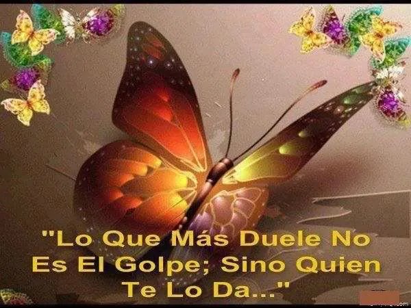 MARIPOSAS CON FRASES 3 2 | TODO PARA FACEBOOK IMAGENES PARA ...