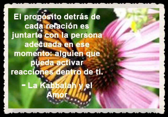 Imágenes de mariposas con frases - Imagui