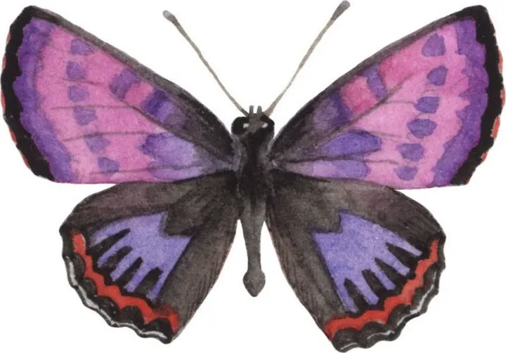  ... mariposas - Imagenes y dibujos para imprimir-Todo en imagenes y