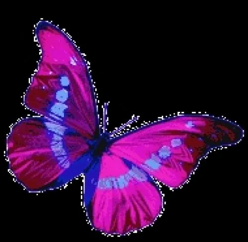 Imagenes hermosas de mariposas con movimiento - Imagui