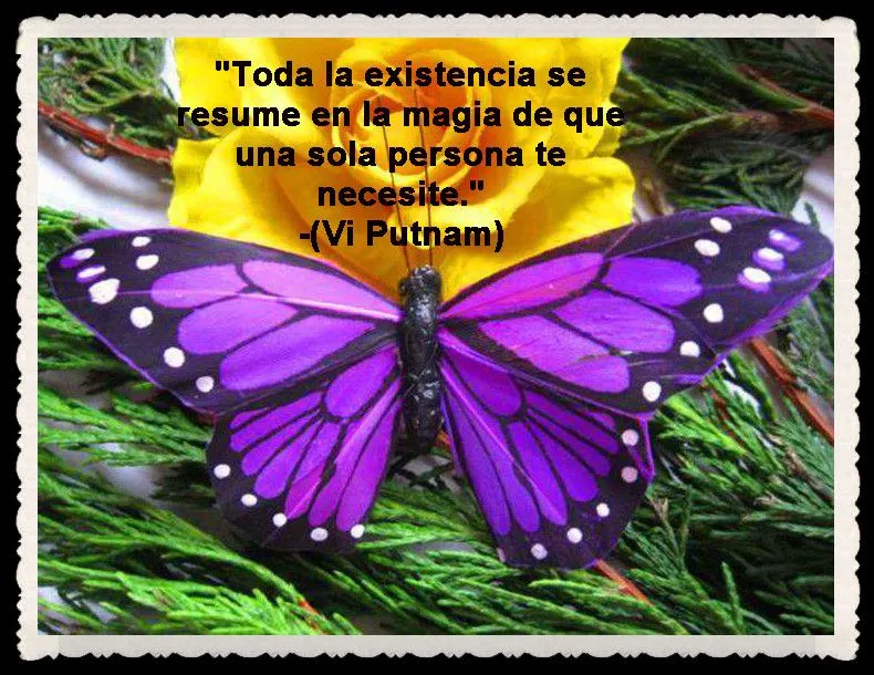 MARIPOSAS I (PENSAMIENTOS, Y FRASES) | FANNY JEM WONG