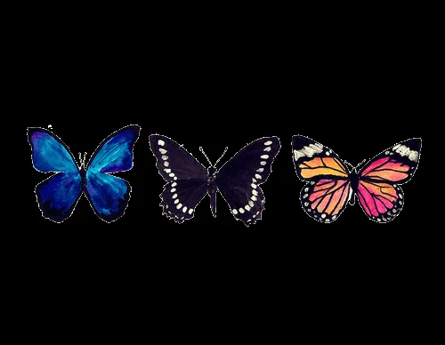 mariposas_png_by_fershh01-d5b ...