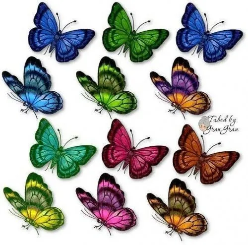 Mariposas para recortar | Mariposas | Pinterest