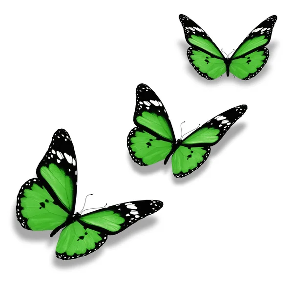 Mariposas verdes en caricatura - Imagui