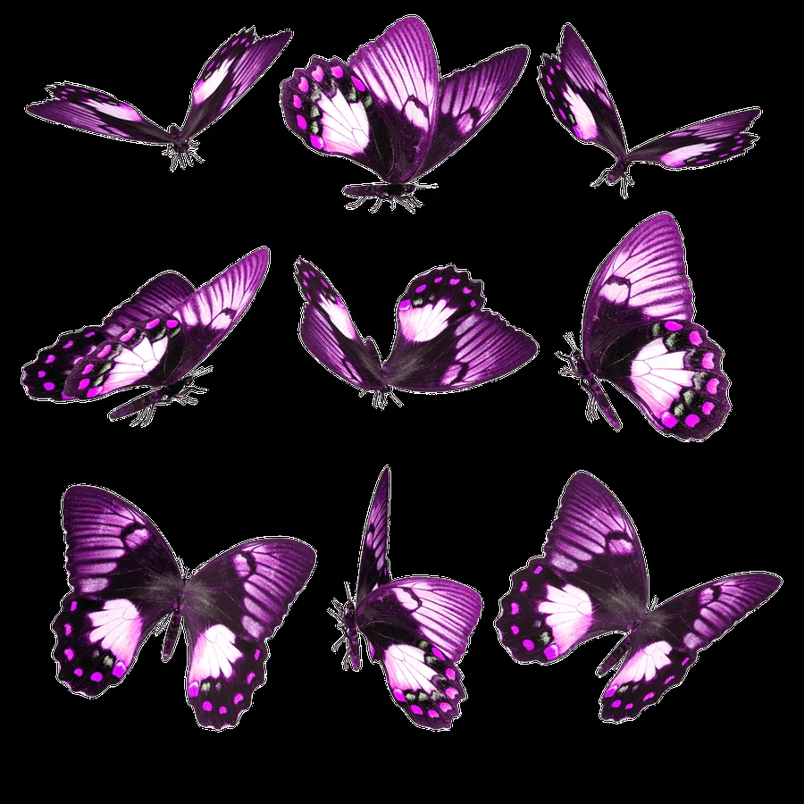 Mariposas Violetas PNG by LuuGomezCyrus on DeviantArt