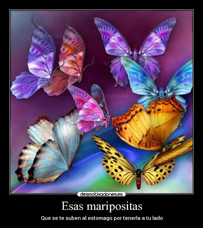 Esas maripositas | Desmotivaciones