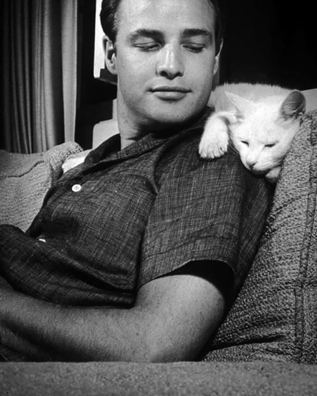 Marlon Brando y su gatito : r/cuteguyswithcats