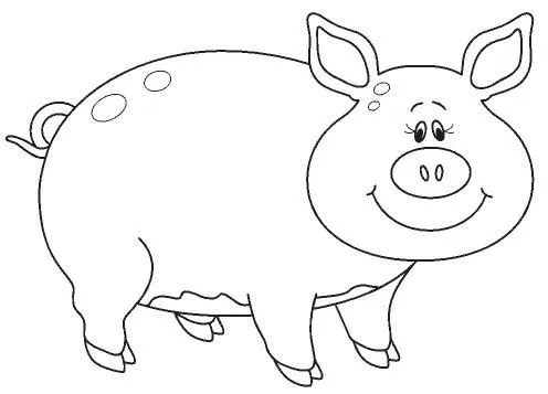 Marranos dibujos - Imagui