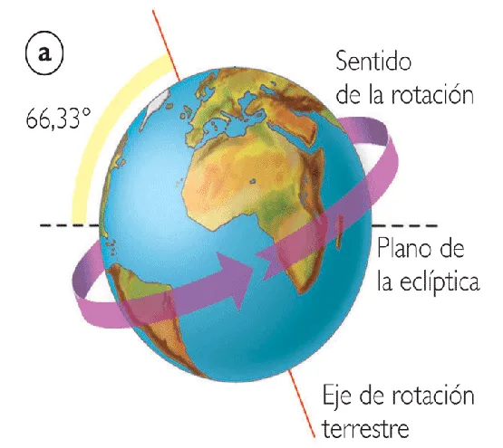 MARTA HUSNI: El movimiento de rotación