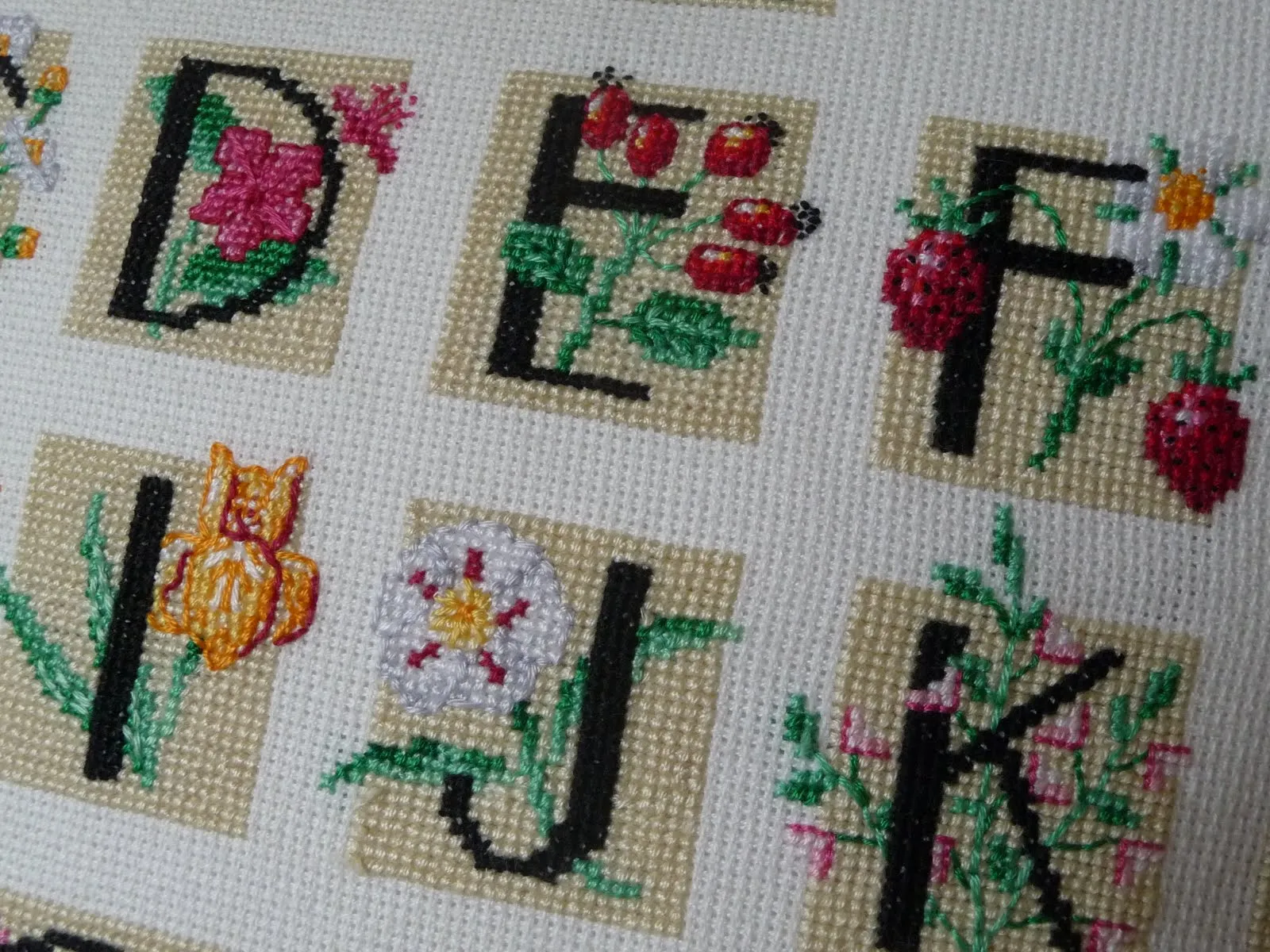 Marta's crafts: Abecedario de flores - Flower alphabet