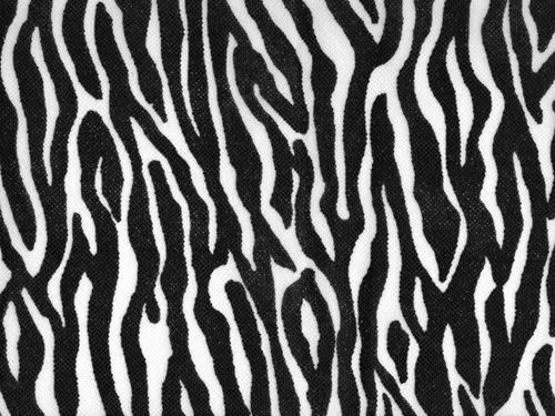 Animal print cebra - Imagui