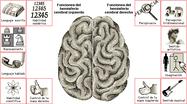 MARUXA HERNANDO MARTINEZ - Sincronizacion de los hemisferios ...