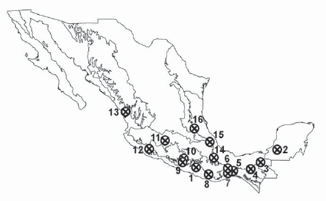 Mastozoología neotropical - Establecimiento de prioridades para la ...