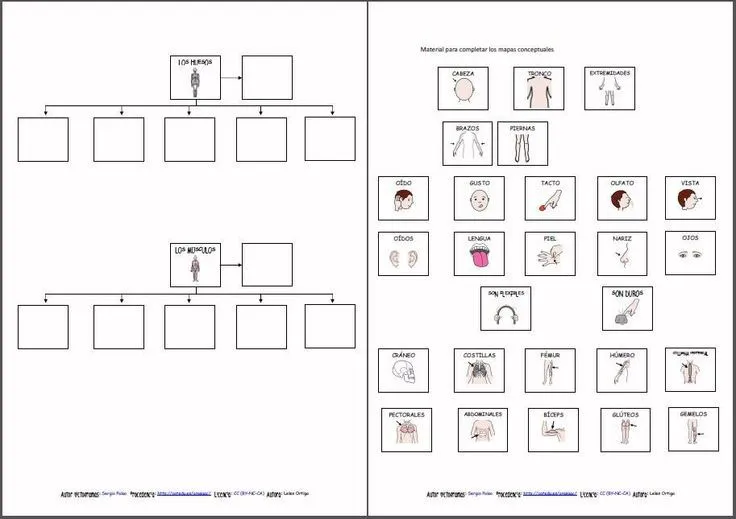 MATERIALES - El cuerpo humano - Conozco mi ... | MATERIALES - ARASAAC