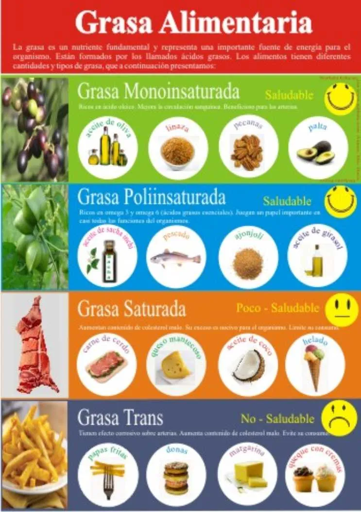 Materiales Educativos – Evidencias en nutrición pública