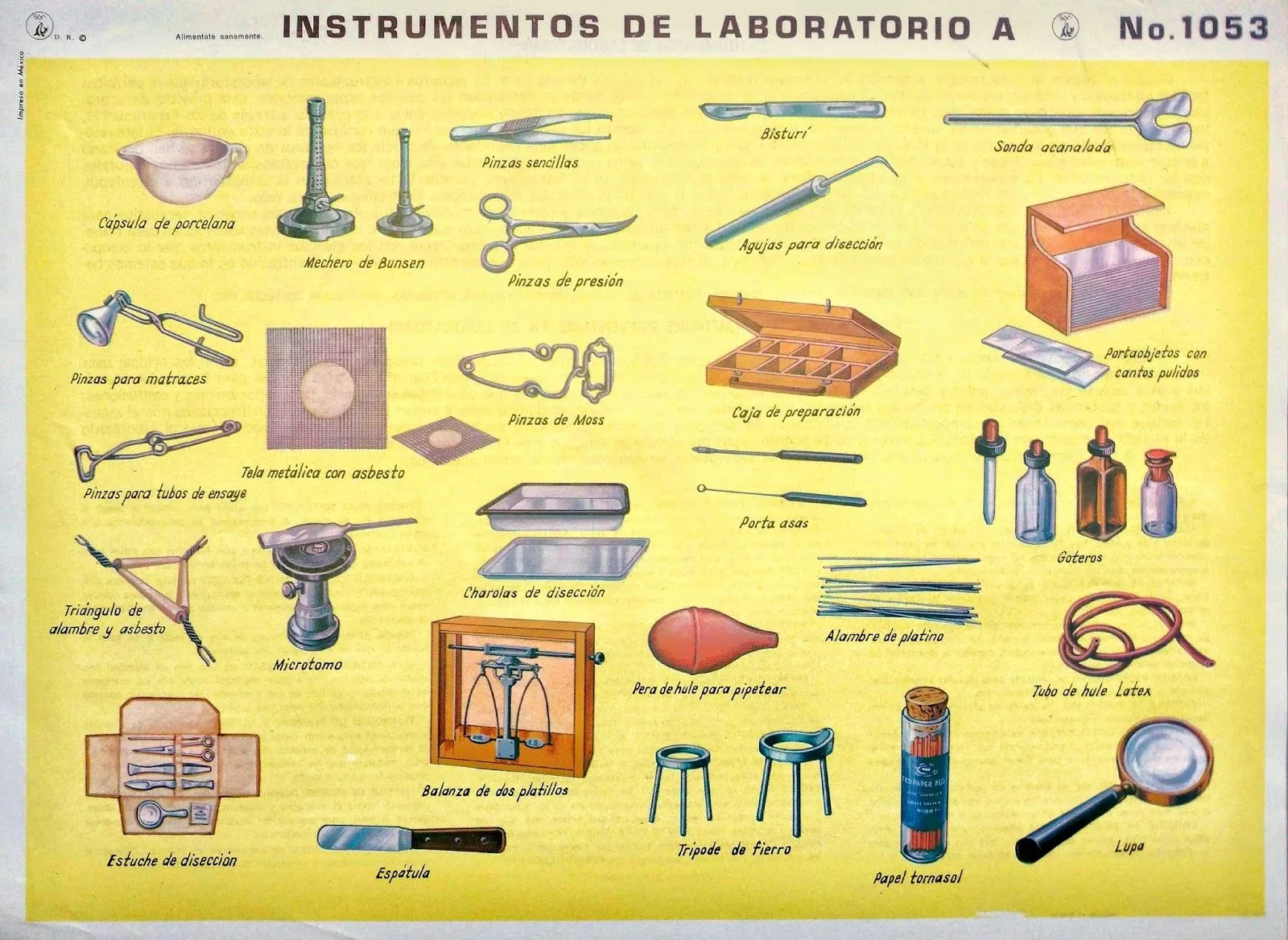 Materiales Escolares: Instrumentos de laboratorio A - Lámina escolar -  Monografía