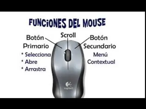 Que es el Mouse y sus partes - Imagui