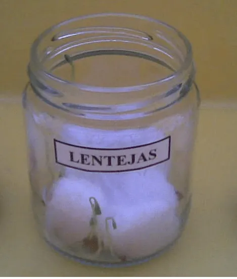 May | 2013 | menudaciencia