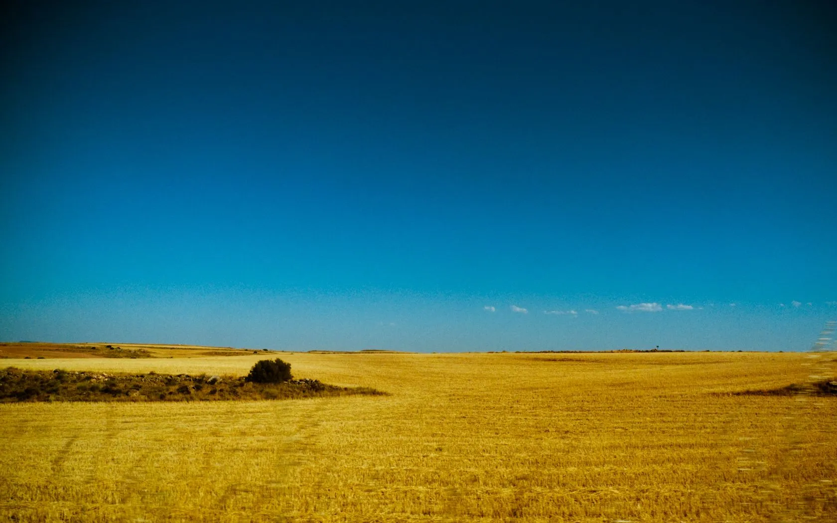 mayo | 2010 | Jorge Bernal