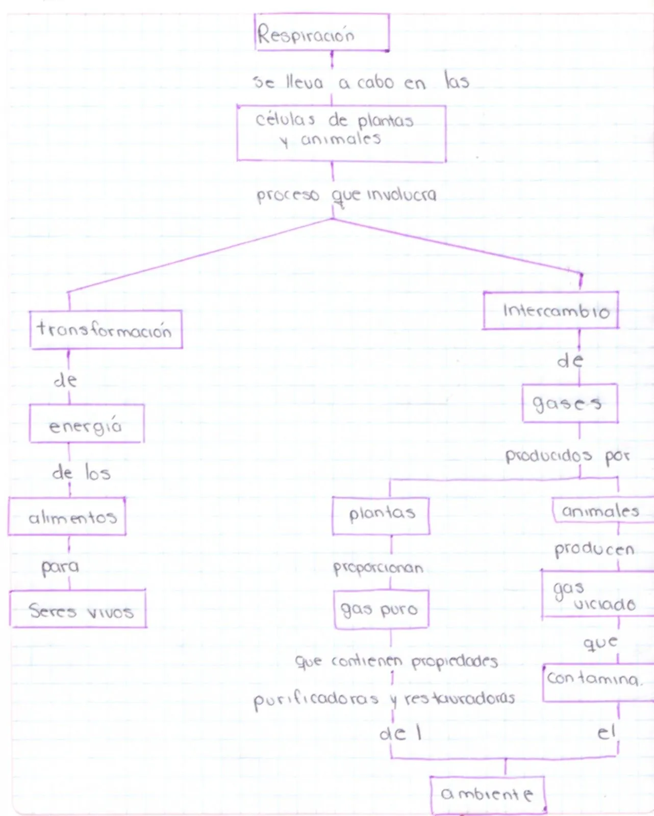 MAYTE 523 BIOLOGÍA III: febrero 2012