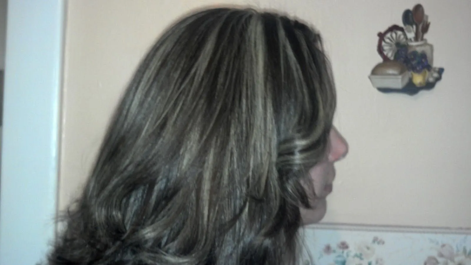 MECHAS BLANCAS EN EL CABELLO ~ Bella en Casa.