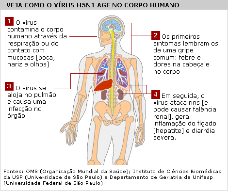 MEDICINA: México confirma nove mortes e 573 infecções por gripe H1N1