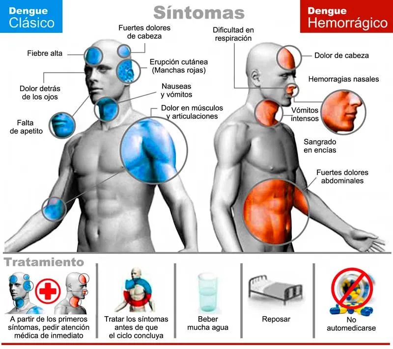 MEDICINA, SALUD Y CURIOSIDADES: DENGUE