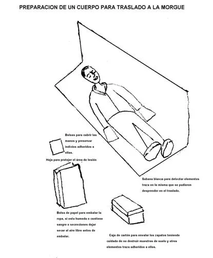 Criminalística visual (página 2) - Monografias.com