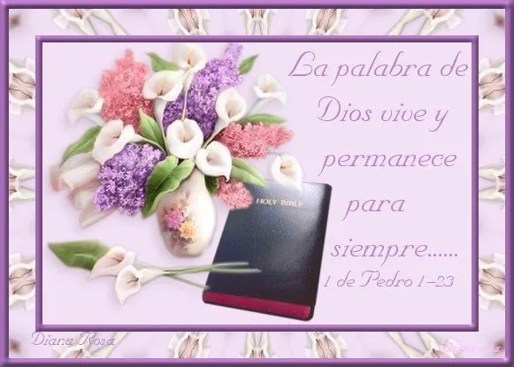 TARJETAS CON MENSAJES DE DIOS PARA SUS HIJOS - Meditaciones ...