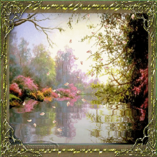 MEDITACIONES EN EL MAR ROJO - IMÁGENES: NATURALEZA ÚNICA, PETALOS ...