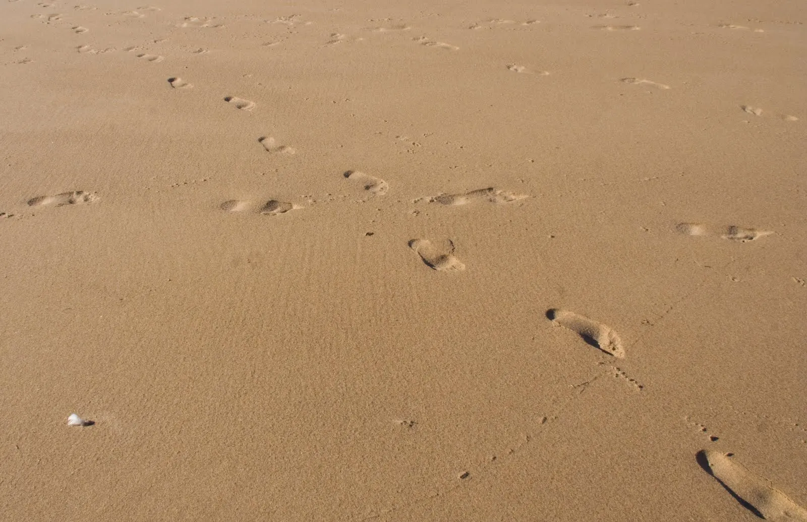 Qué es mejor, caminar por la arena seca, mojada o dentro del agua?