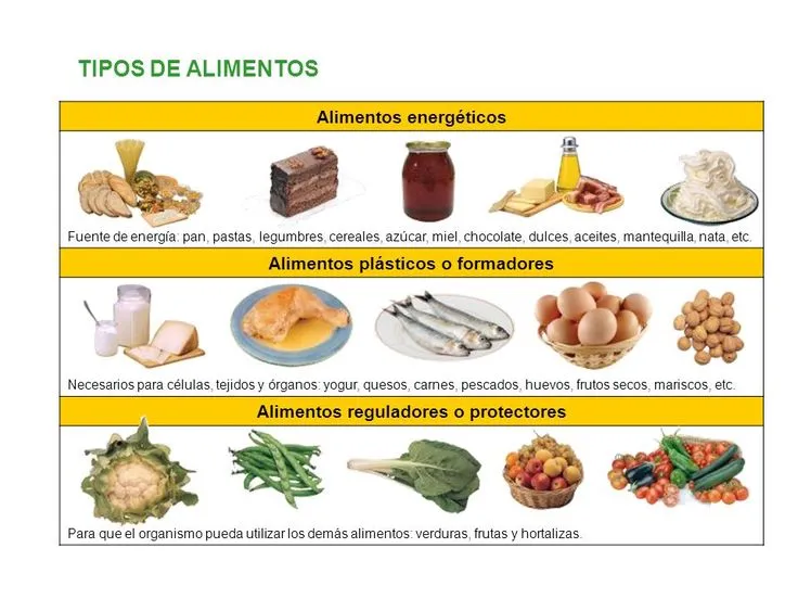 Las mejores 110 ideas de Actividades de nutrición en 2023 | actividades de  nutrición, dibujos frutas y verduras, actividades