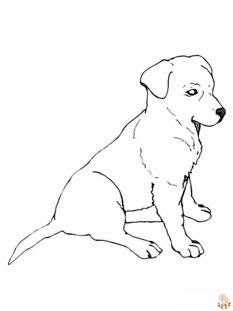 Las mejores dibujos de perros para colorear para niños