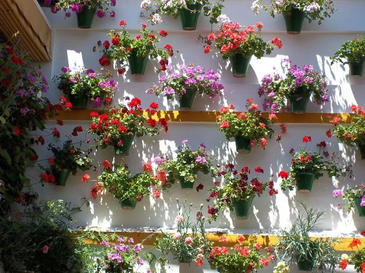 Las mejores flores para el verano | Blog comprar flores en Madrid ...