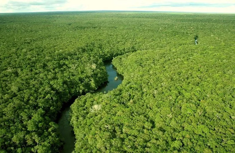 Las Mejores Fotografías del Mundo: Gran foto tour en la selva ...