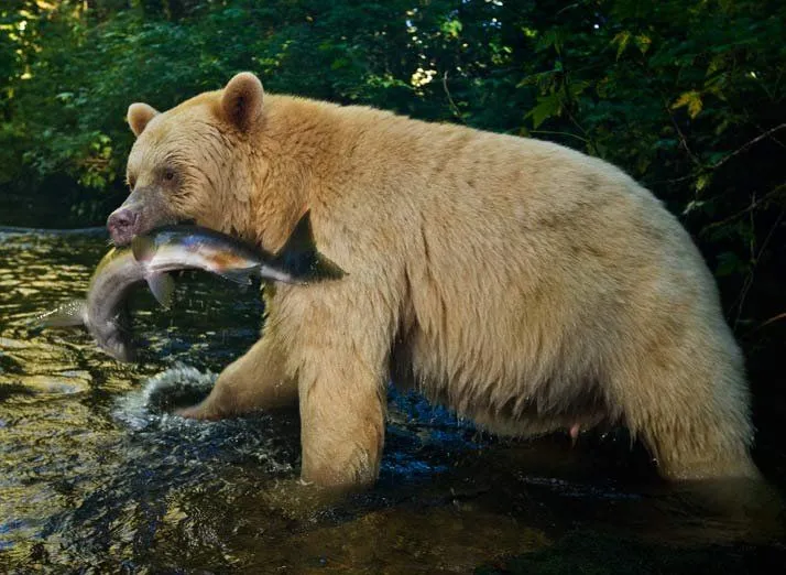 Las mejores fotografías de la naturaleza de julio de taring - Taringa!