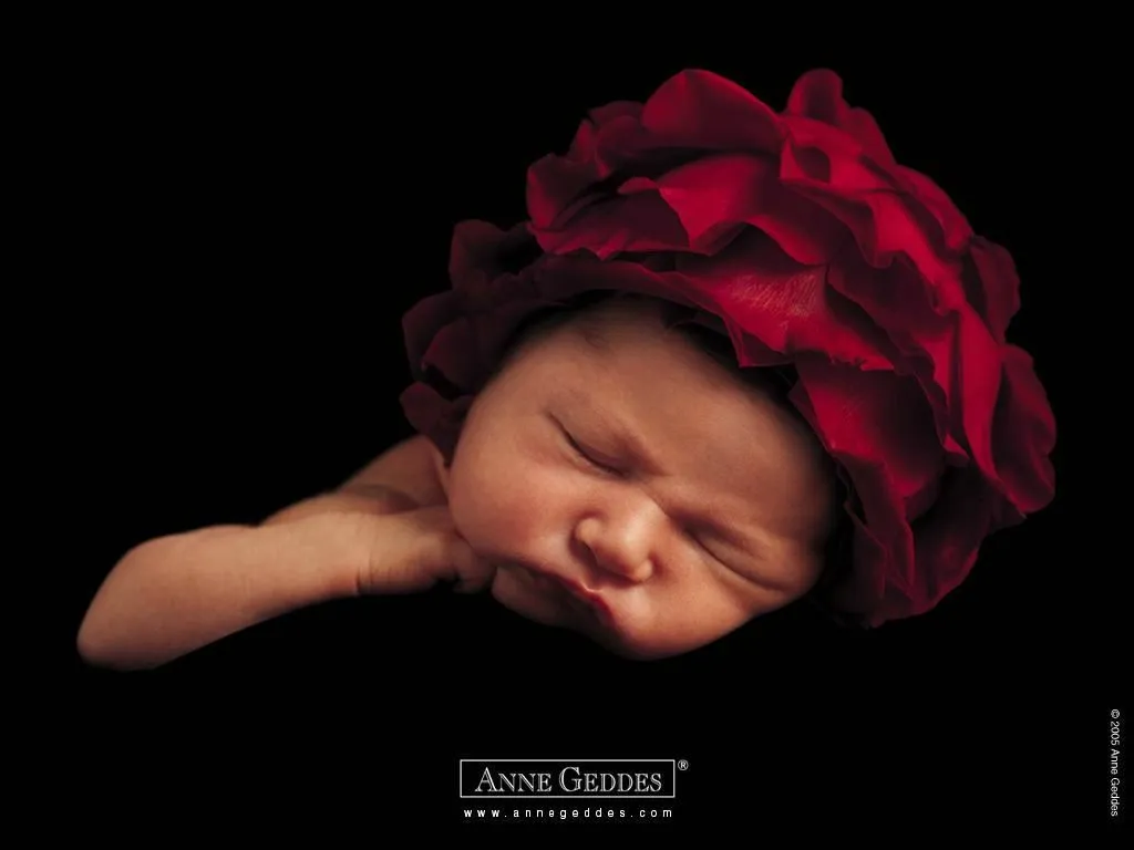 Las mejores fotos de Anne Geddes (Megapost) - Taringa!