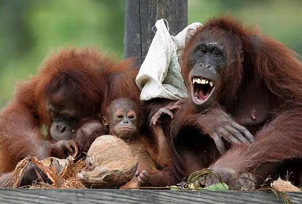 24 horas en fotos - 20minutos.es