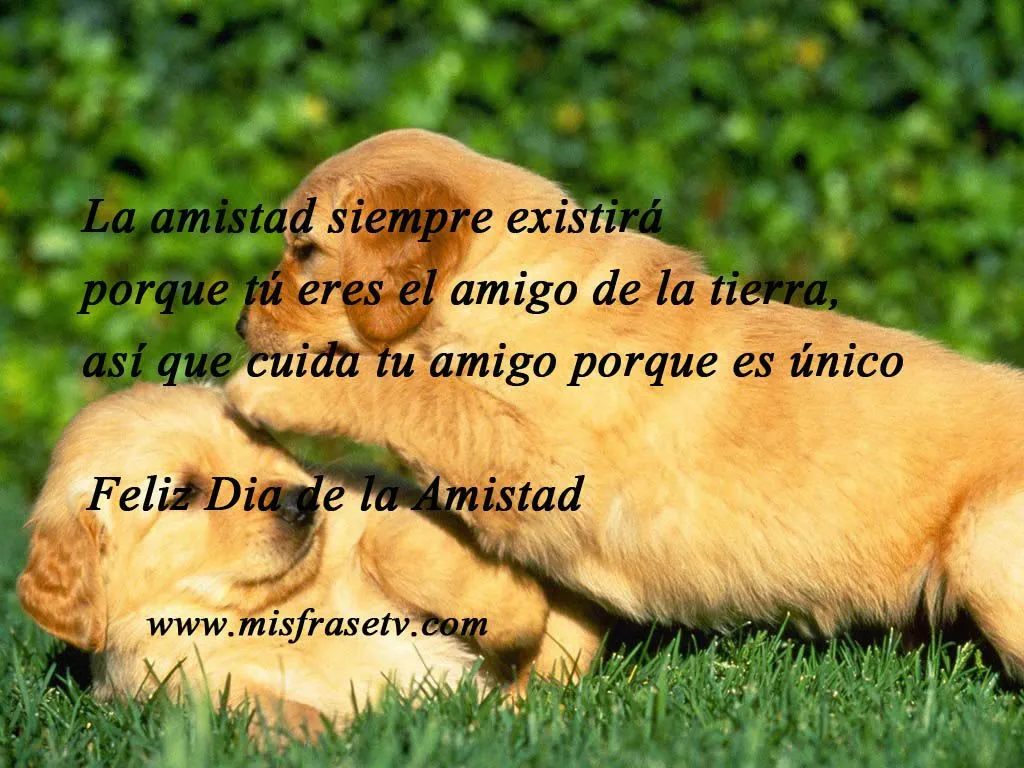 Las mejores frases bellas por el dia de la Amistad - compartir en ...