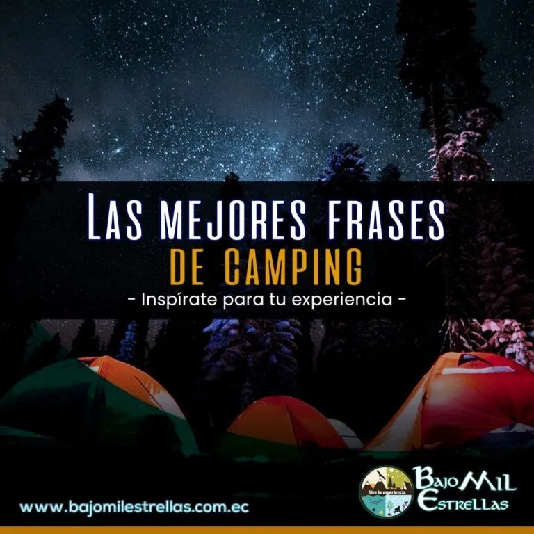 Las mejores frases de campamento - Bajo Mil Estrellas