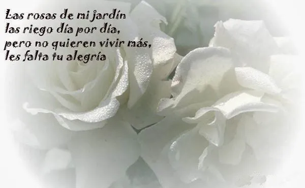 Las Mejores Frases Para Publicar en FB: Frases De Amor: Las Rosas ...