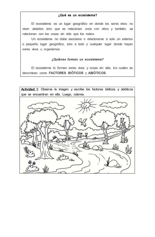 Las mejores 8 ideas de Factores bioticos y abioticos | factores bioticos y  abioticos, ciencia natural, ciclos de vida de las plantas