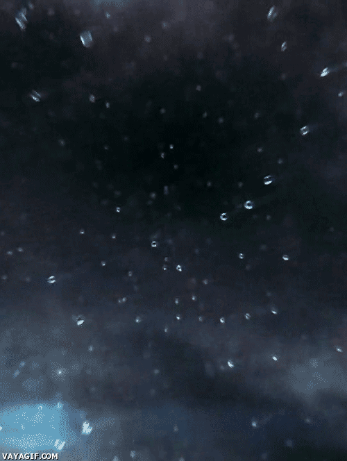 Las mejores imágenes vistas en Internet. : Bajo la lluvia